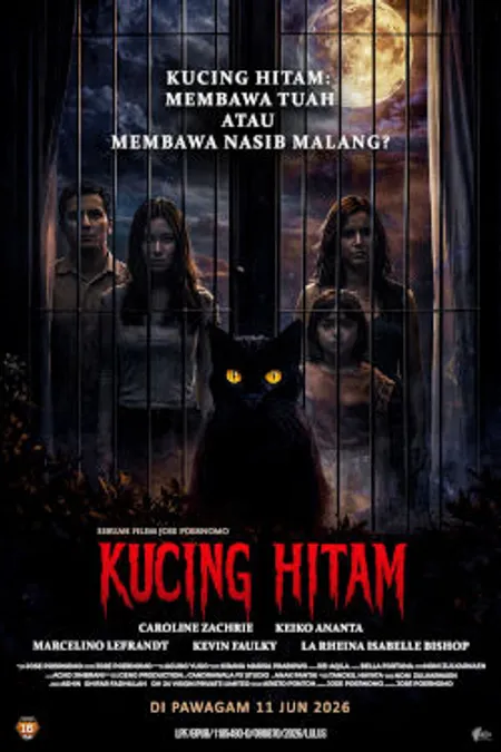 Poster for Kucing Hitam